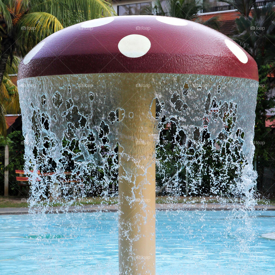 Magic mushroom fountain