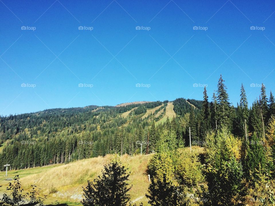 Hiking up a mountain! 