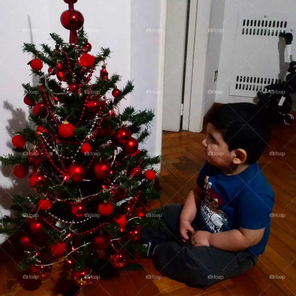 Mi árbol