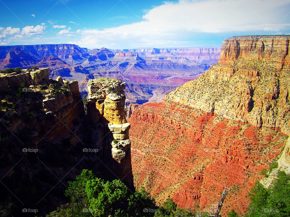 High angle view of grand canyon