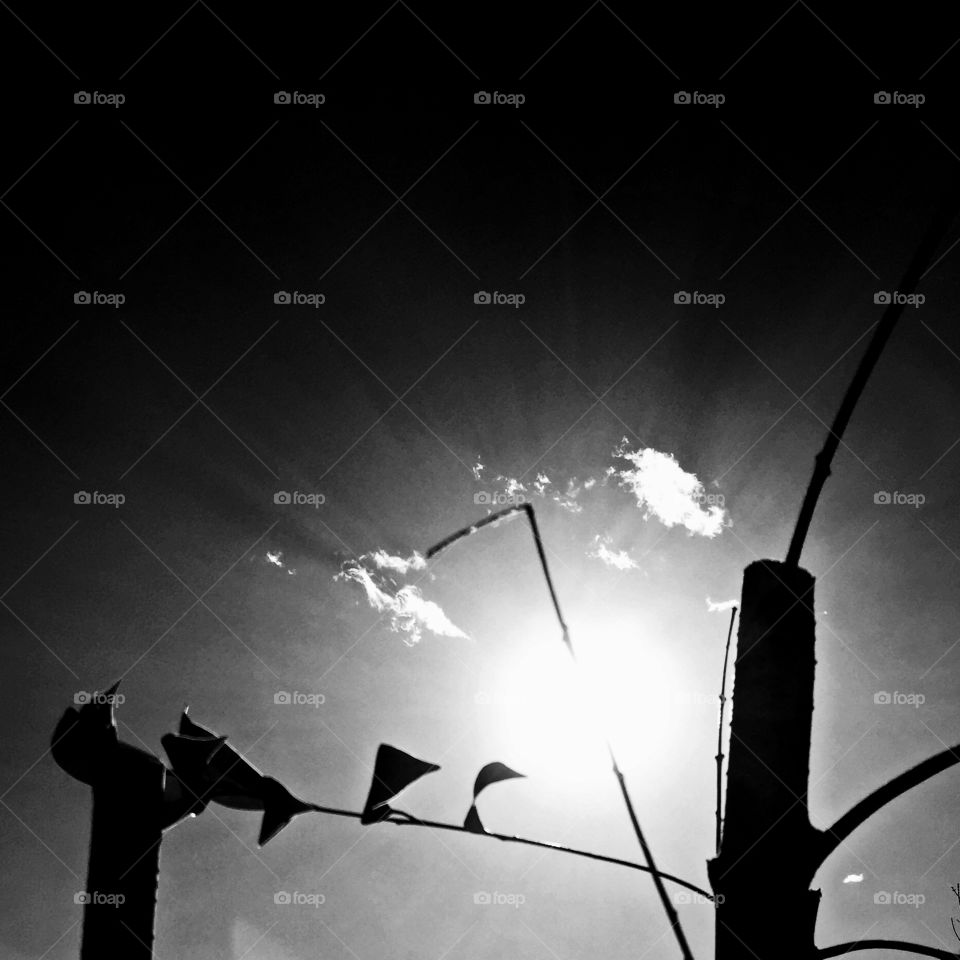 Silhouette, Sunset, Monochrome, Sun, Sky