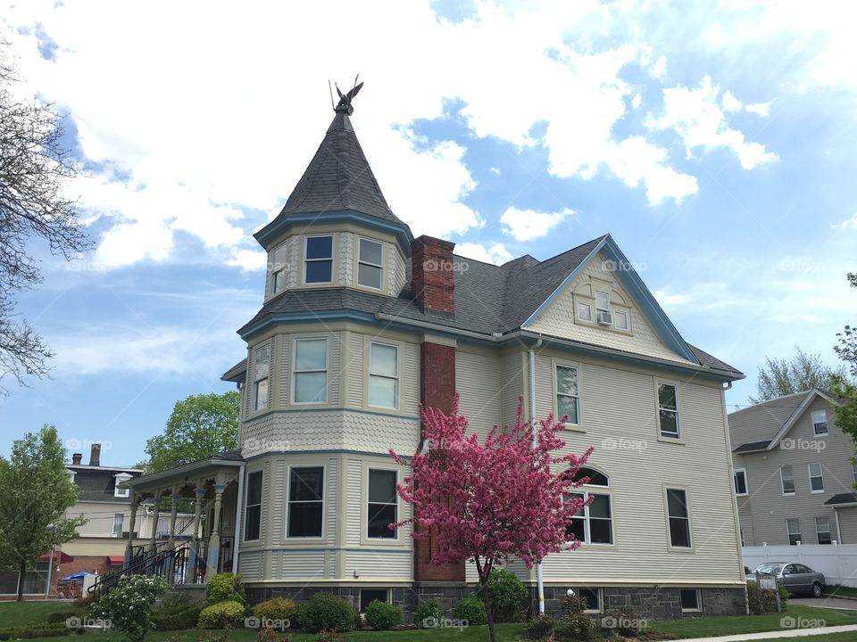 House and tree