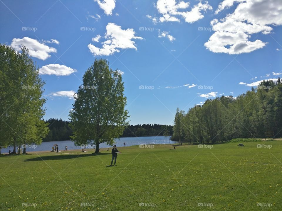 Tree, Landscape, No Person, Grass, Outdoors