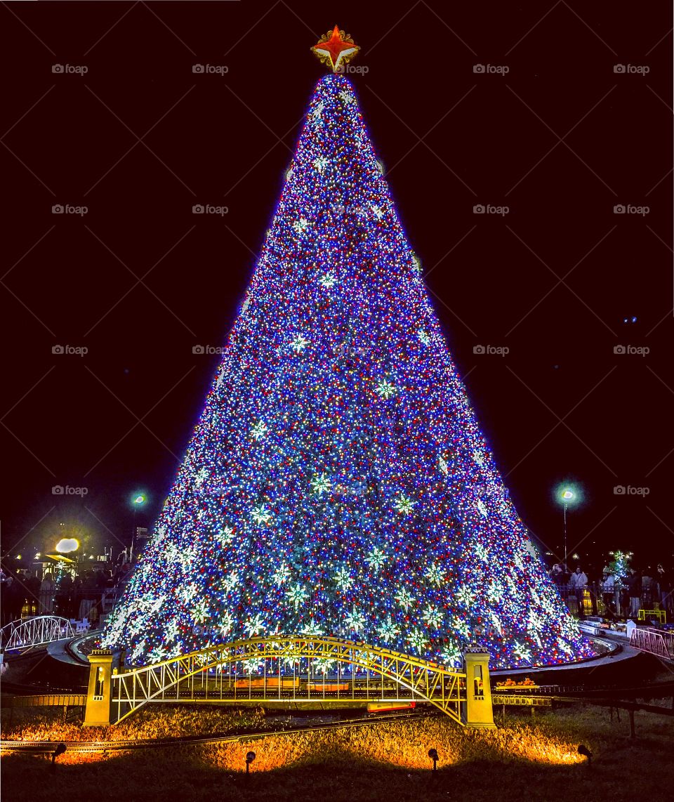 National Christmas Tree,  Washington DC