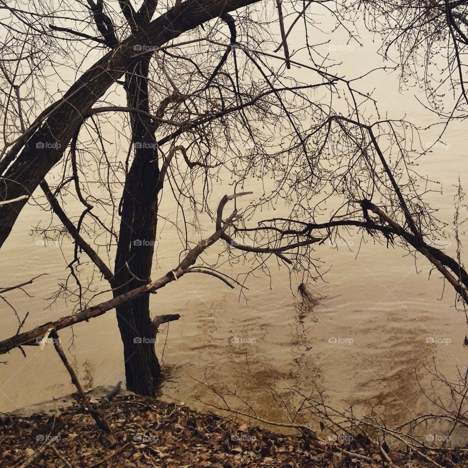 gloomy river