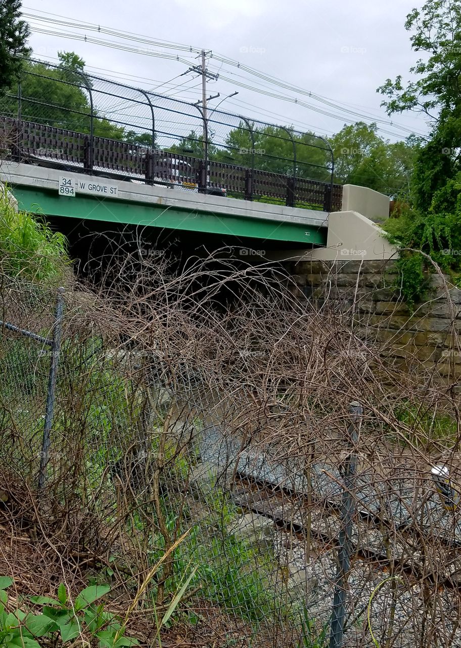 Overgrown fenced area to train tracks under highway.