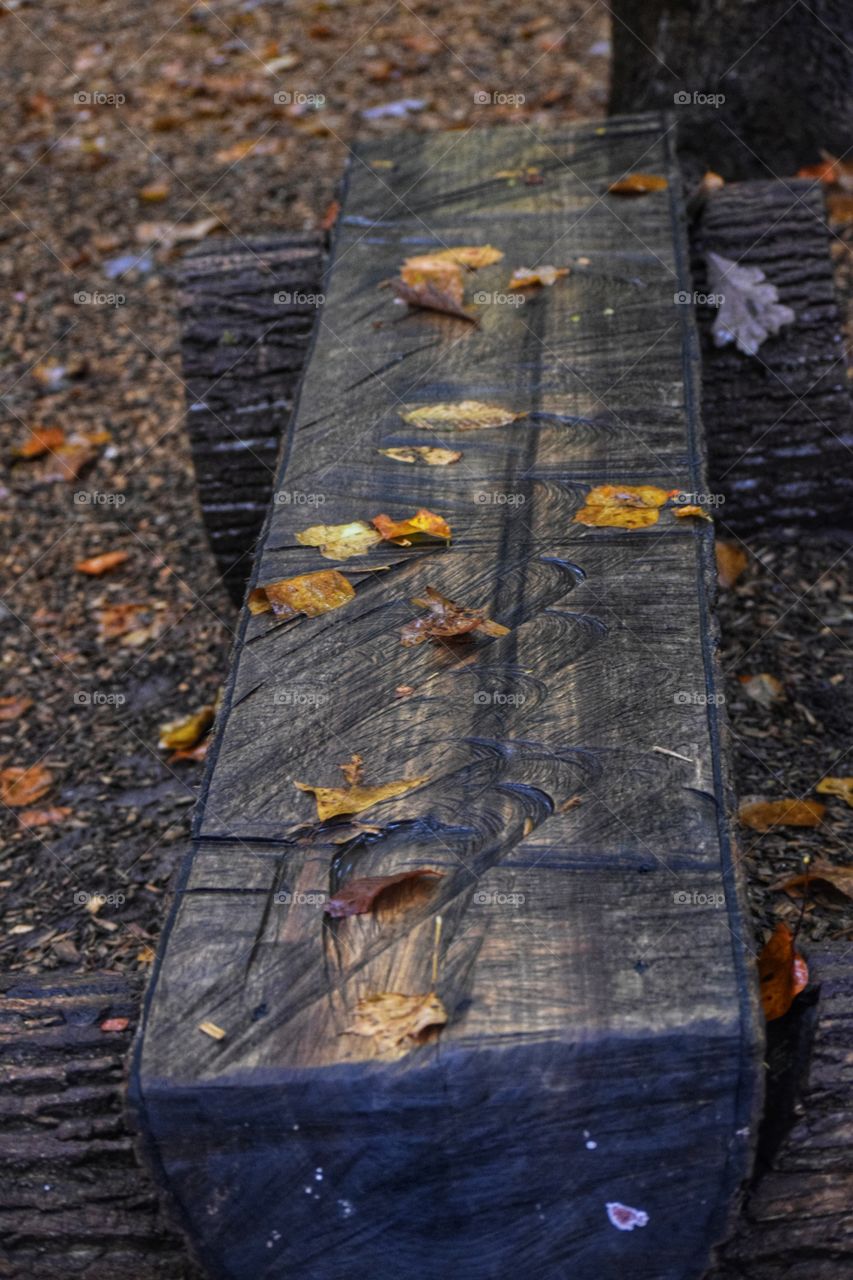 Tree Bench