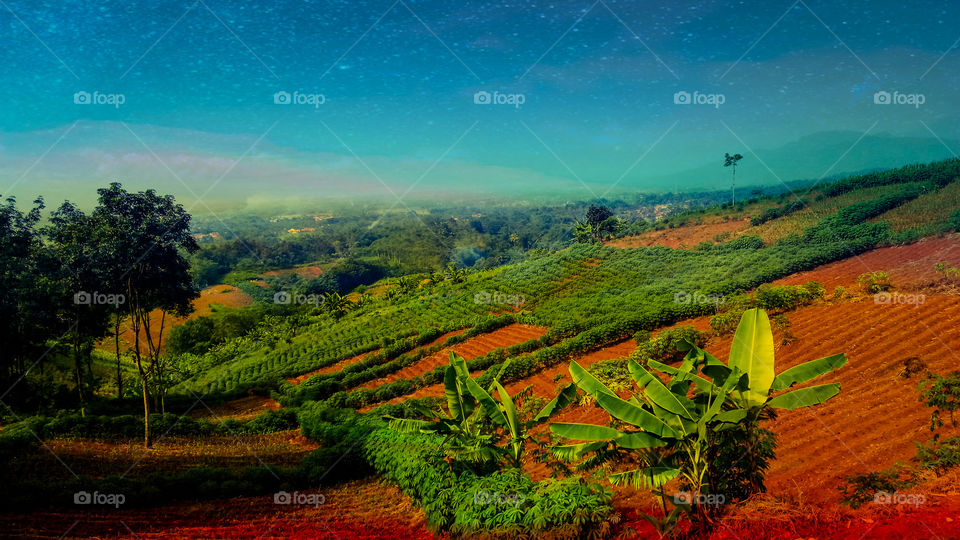 nature photo design color full