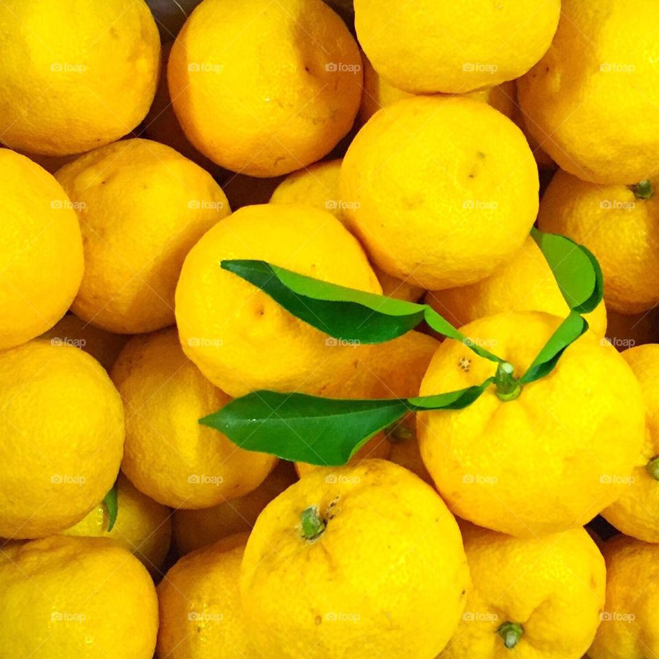 Korean lemon