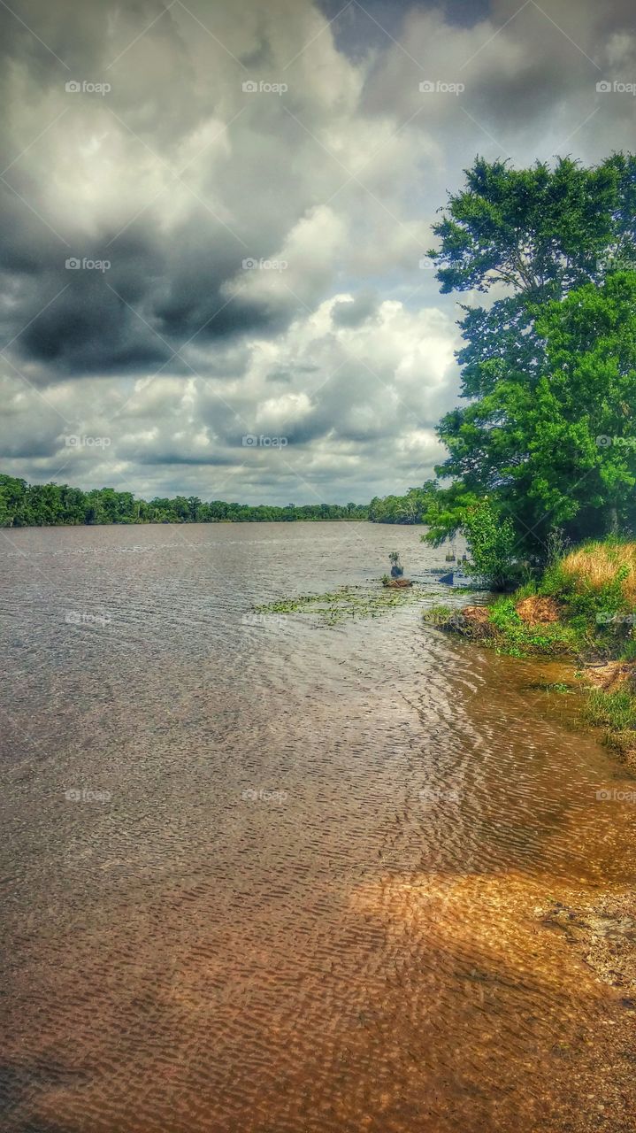 Nature, Water, No Person, Landscape, Tree