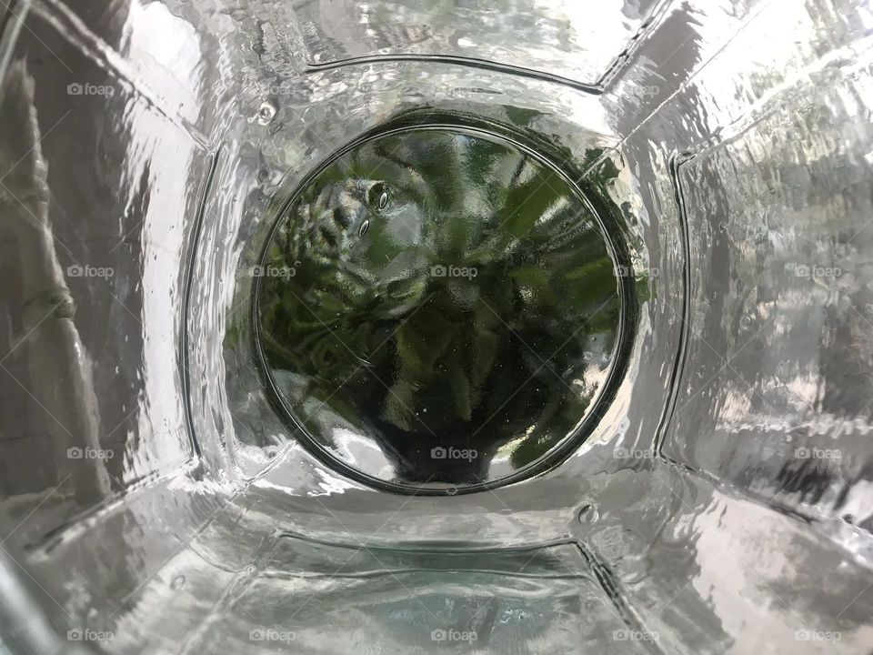 Only with the green poem of plants, still life can play a tune.