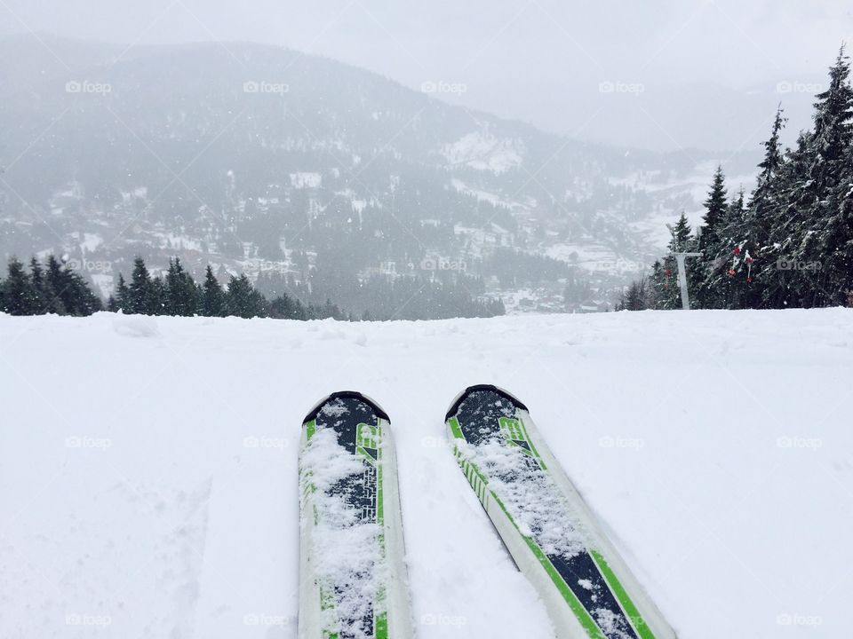 Close up of skis with snowy evergreen forest ahead