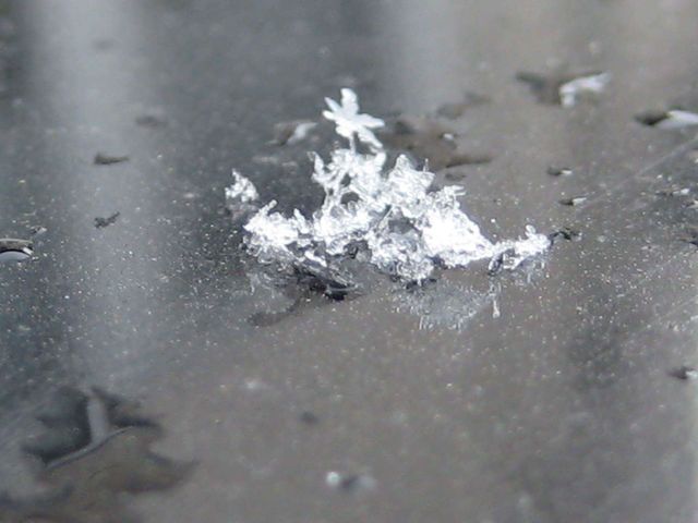 snow