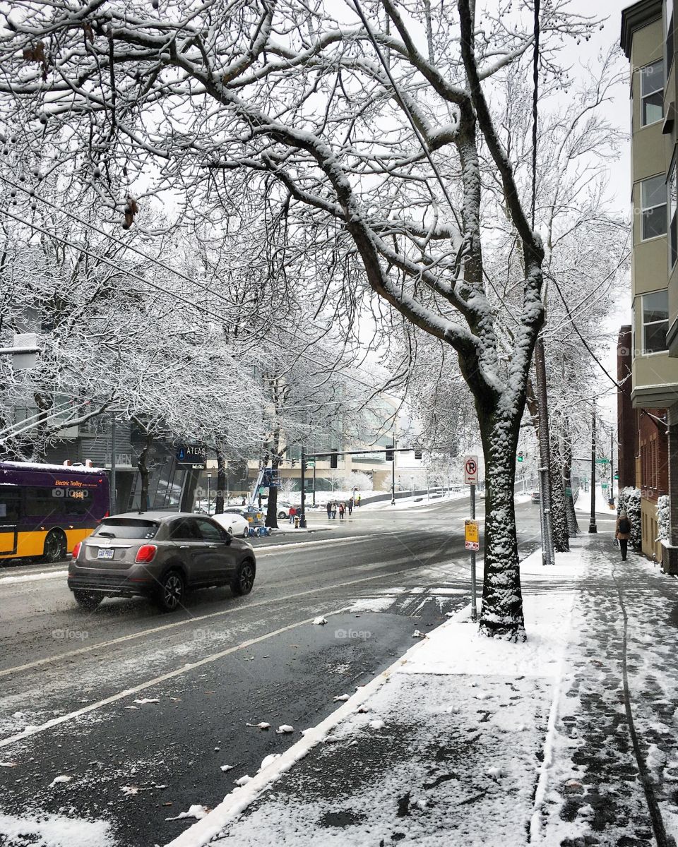 Snow in Seattle 