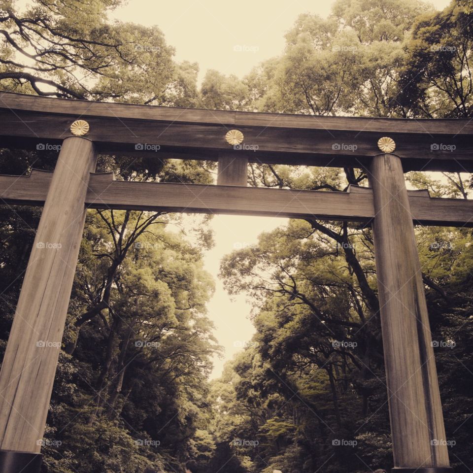 Wooden gate at Meiji shrine