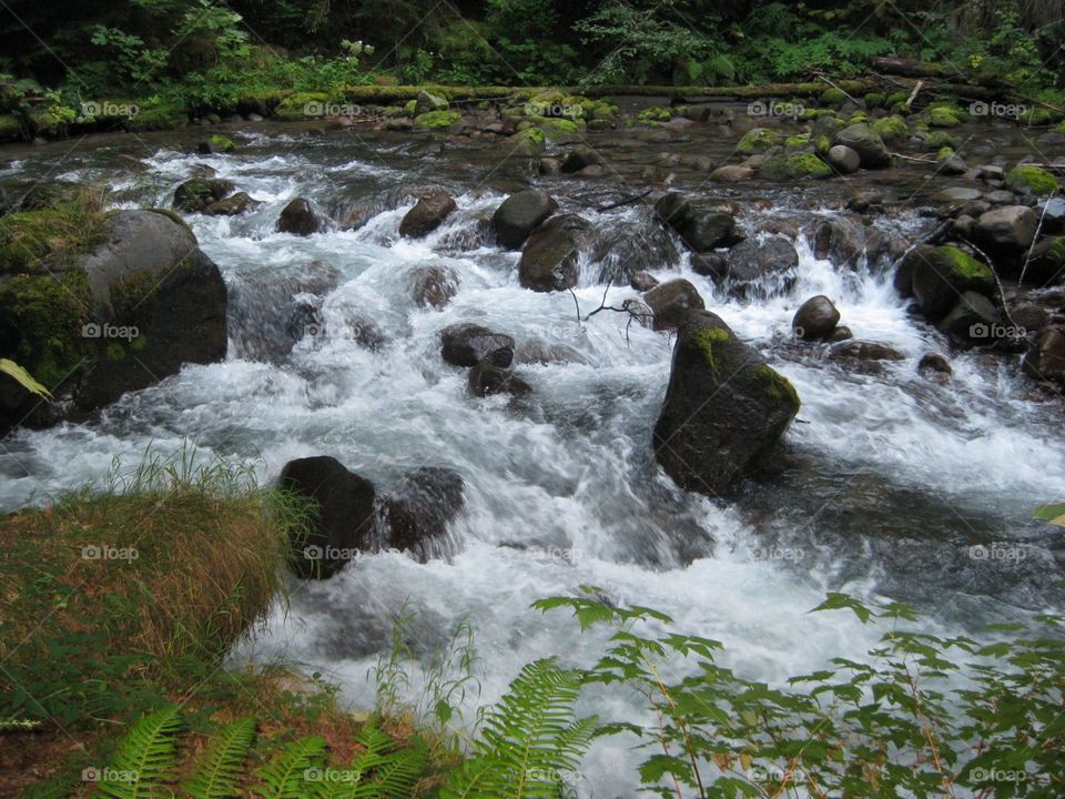 zigzag river. Oregon