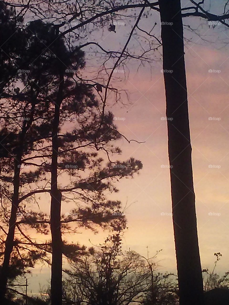 This morning's sunrise in Georgia2
