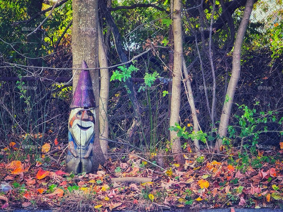 Wooden gnome in the woods