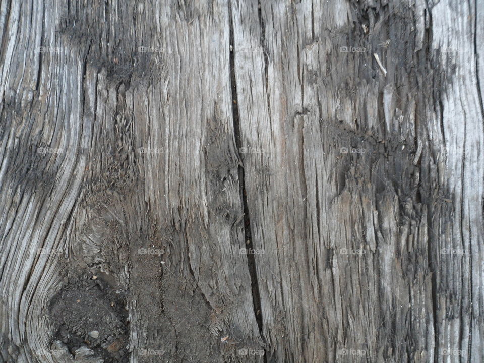 wood texture