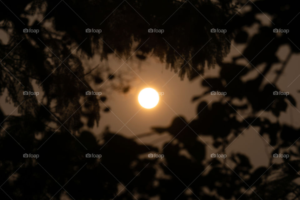 Nature is so beautifull capture it because every moment nature is changed