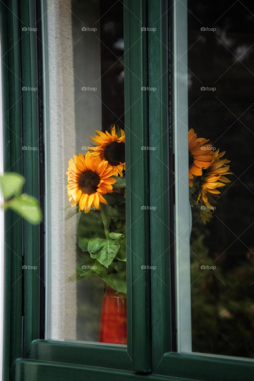 A red vase with sunflowers stands behind a window