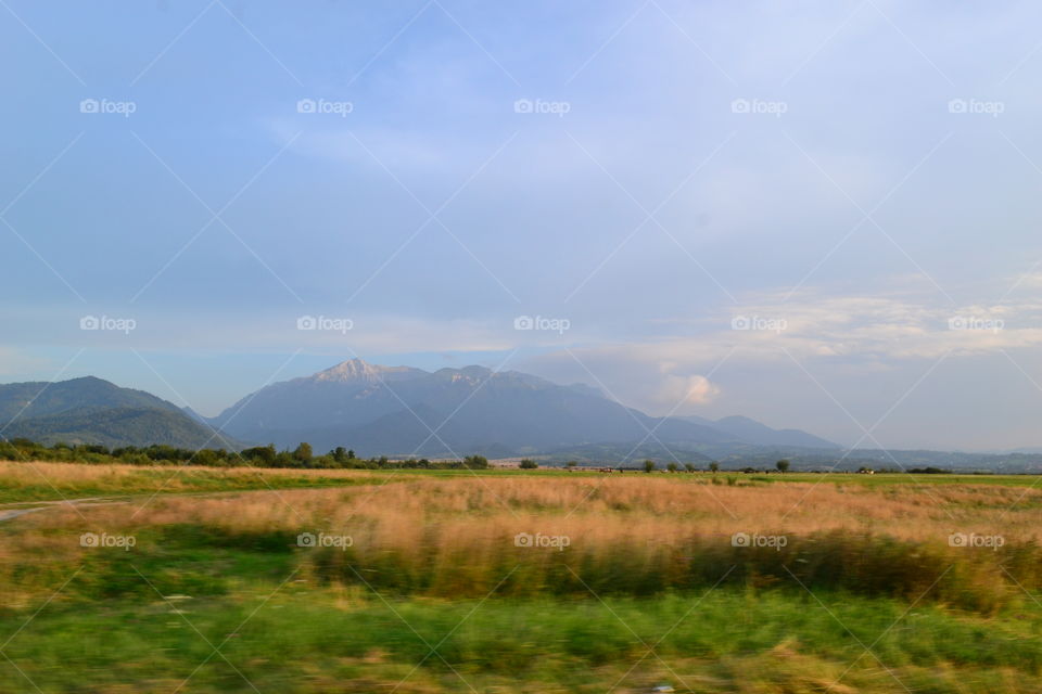 Corn field with clear sky and mountaions