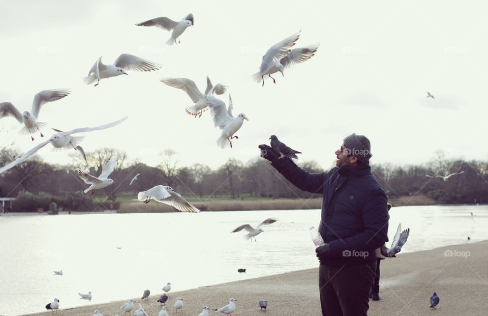 Feeding birds at Hyde Park, London