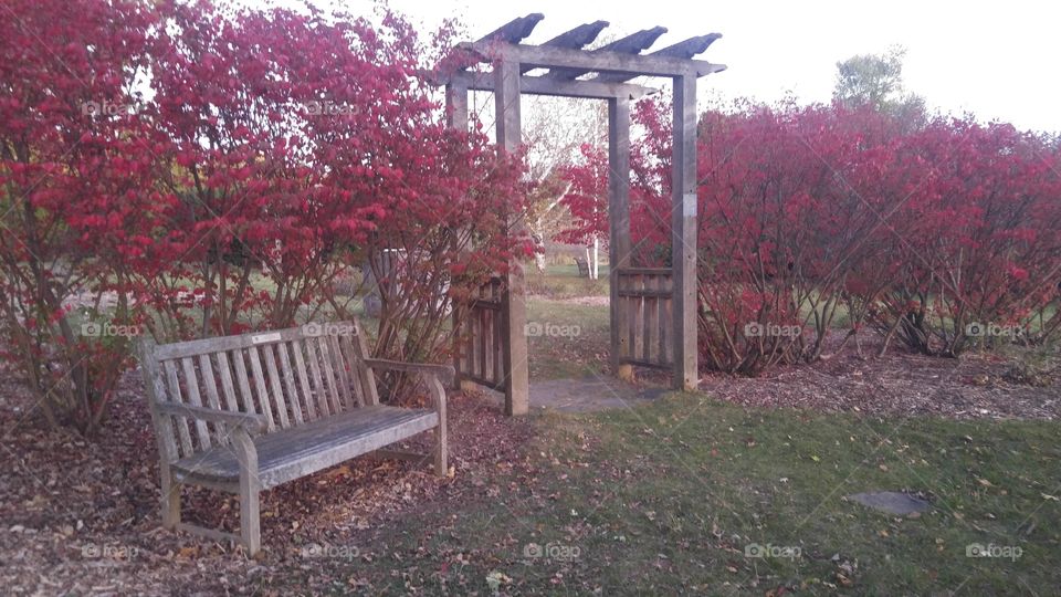 Garden bench fall