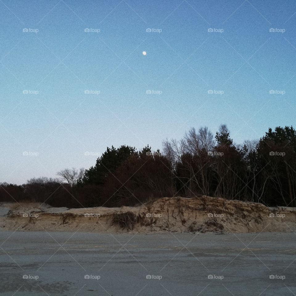 evening in the nature with moon in the sky