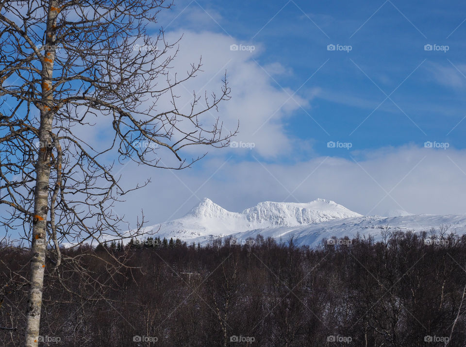 Winter mountain. 