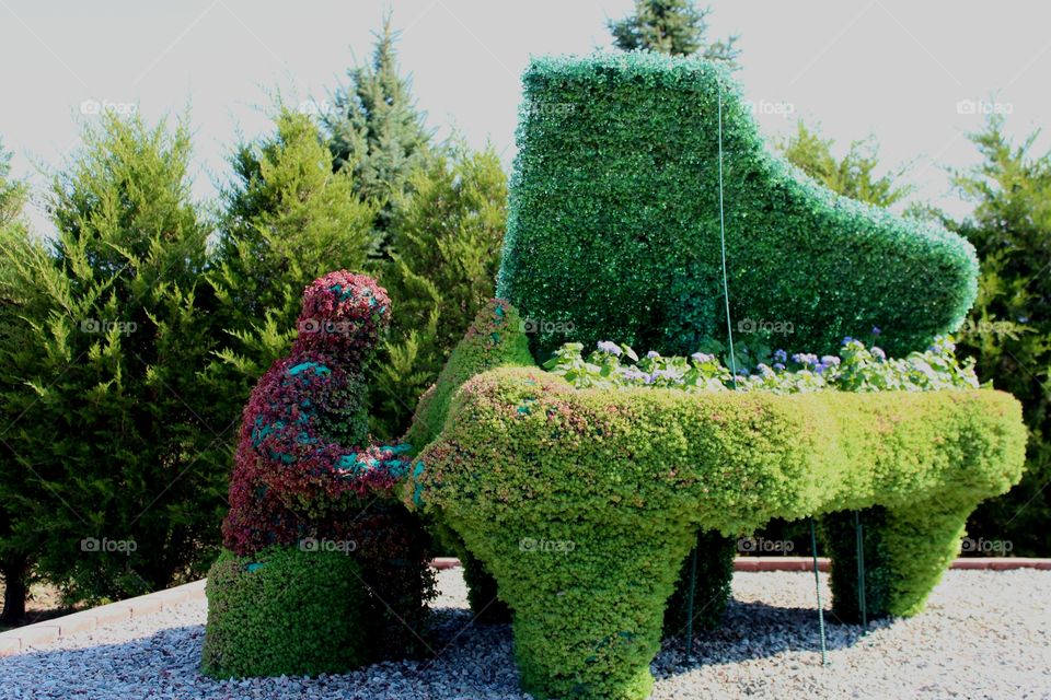 Flora. Композиция из растений. Пианист из цветов. Зелёное фортепиано