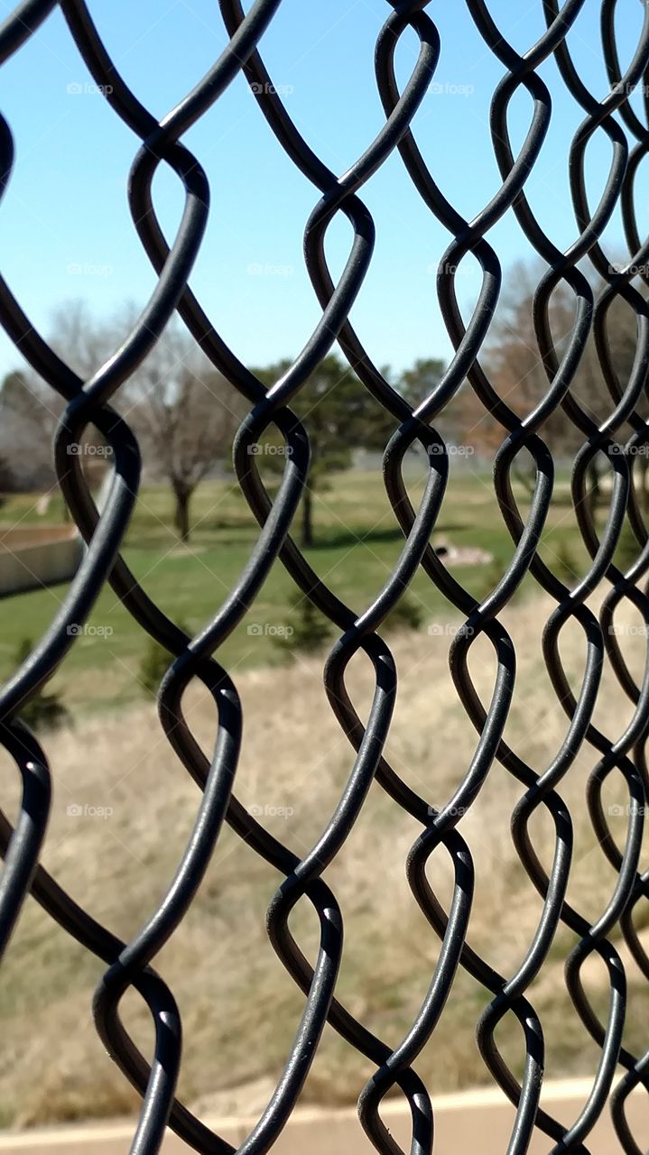 Fences