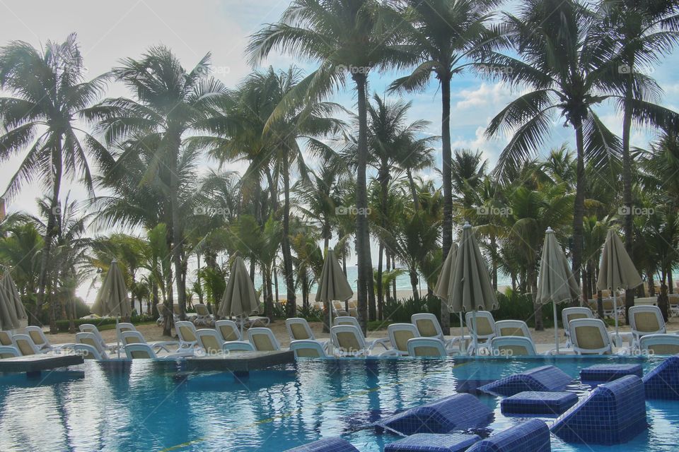 caribbean resort swiming pool