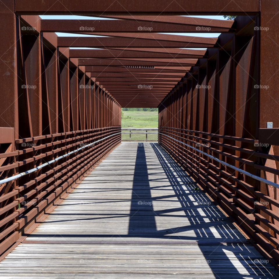 Bridge of Symmetry 