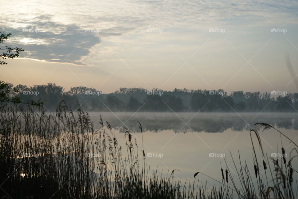 Morning over a misty lake
