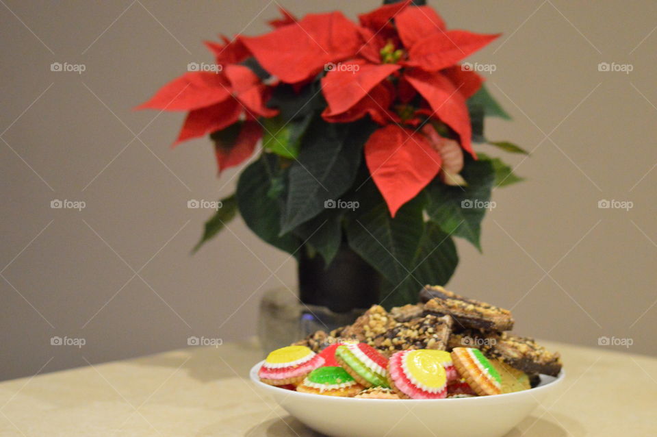 multicolored christmas cookies