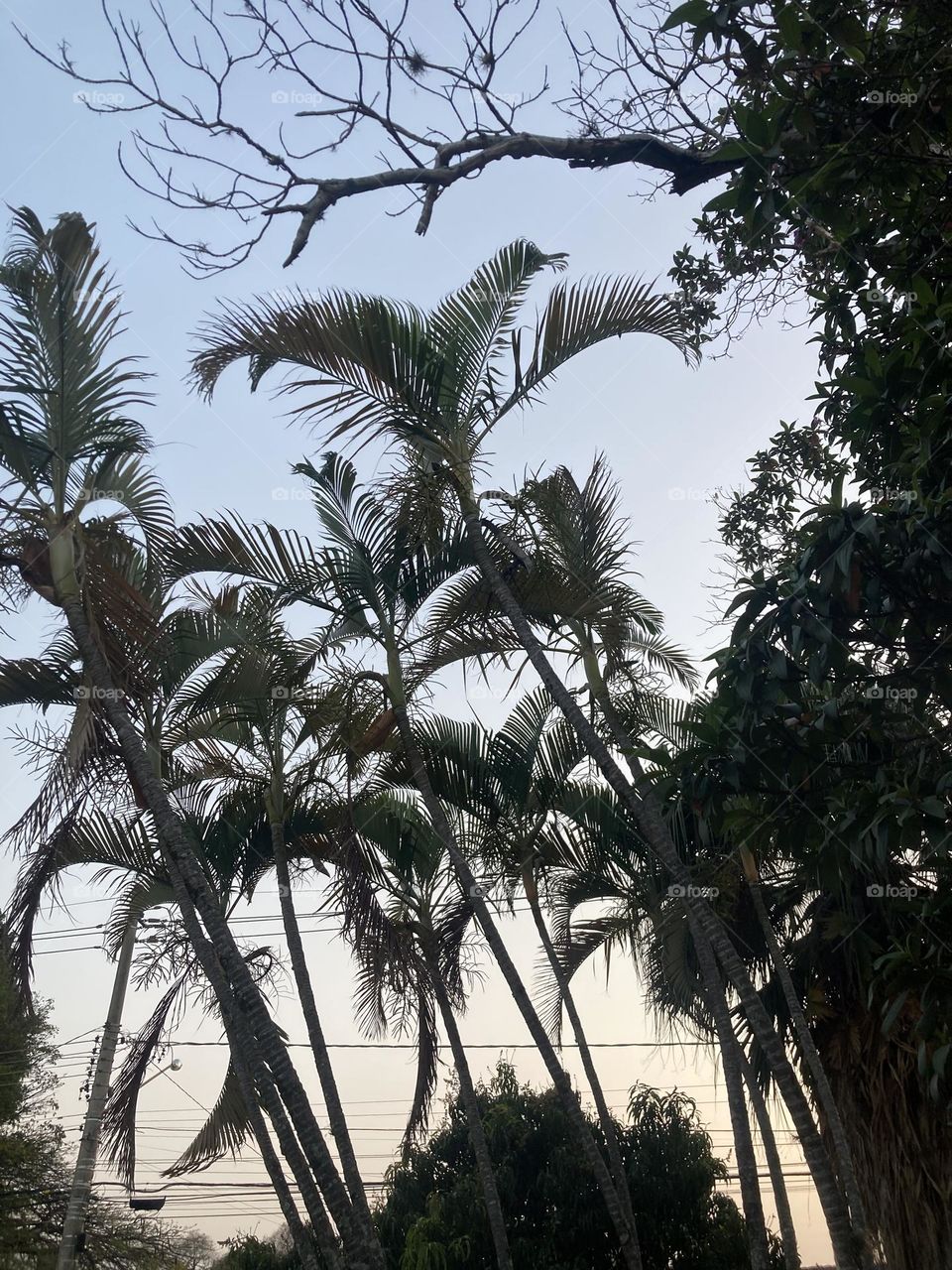 🌄🇺🇸 An extremely beautiful dawn in Jundiaí, interior of Brazil. Cheer the nature! / 🇧🇷 Um amanhecer extremamente bonito em Jundiaí, interior do Brasil. Viva a natureza! 
