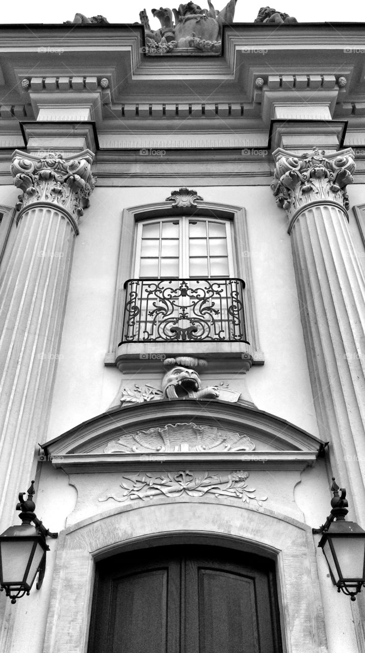 Palace facade. Palace facade