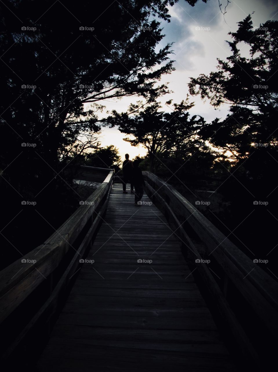 New York, Long Island, Fire Island, Nature, tree, plants, outdoors, calm, relax, shades, colors, Clouds, sky, path, view, sunset, walking, 