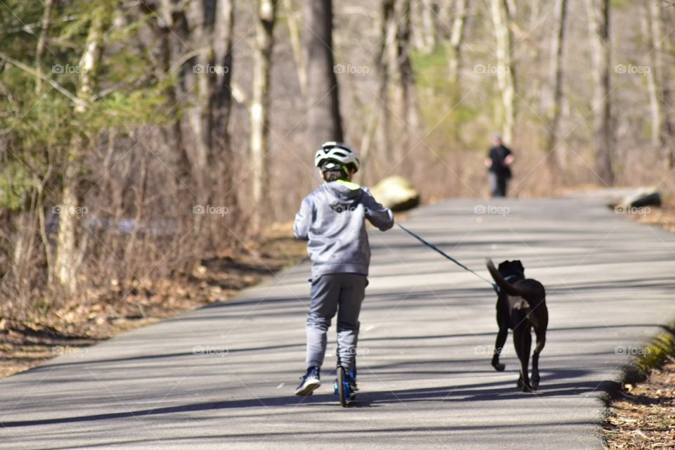 Spring time with your dog 