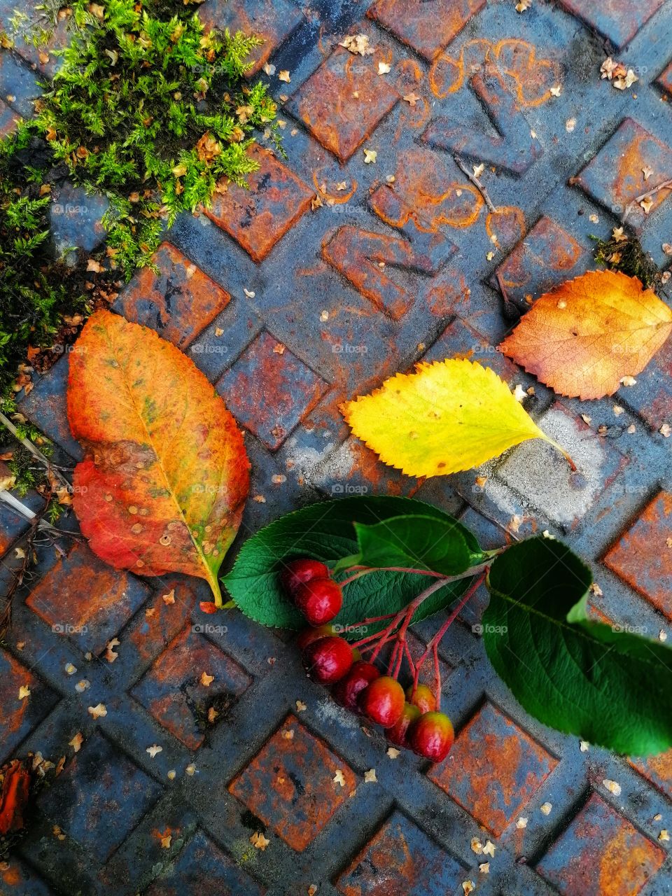 Autumn is coming to Finland. I found a great flat lay layout on top of an old rusty man hole cover! Do you like this photo?