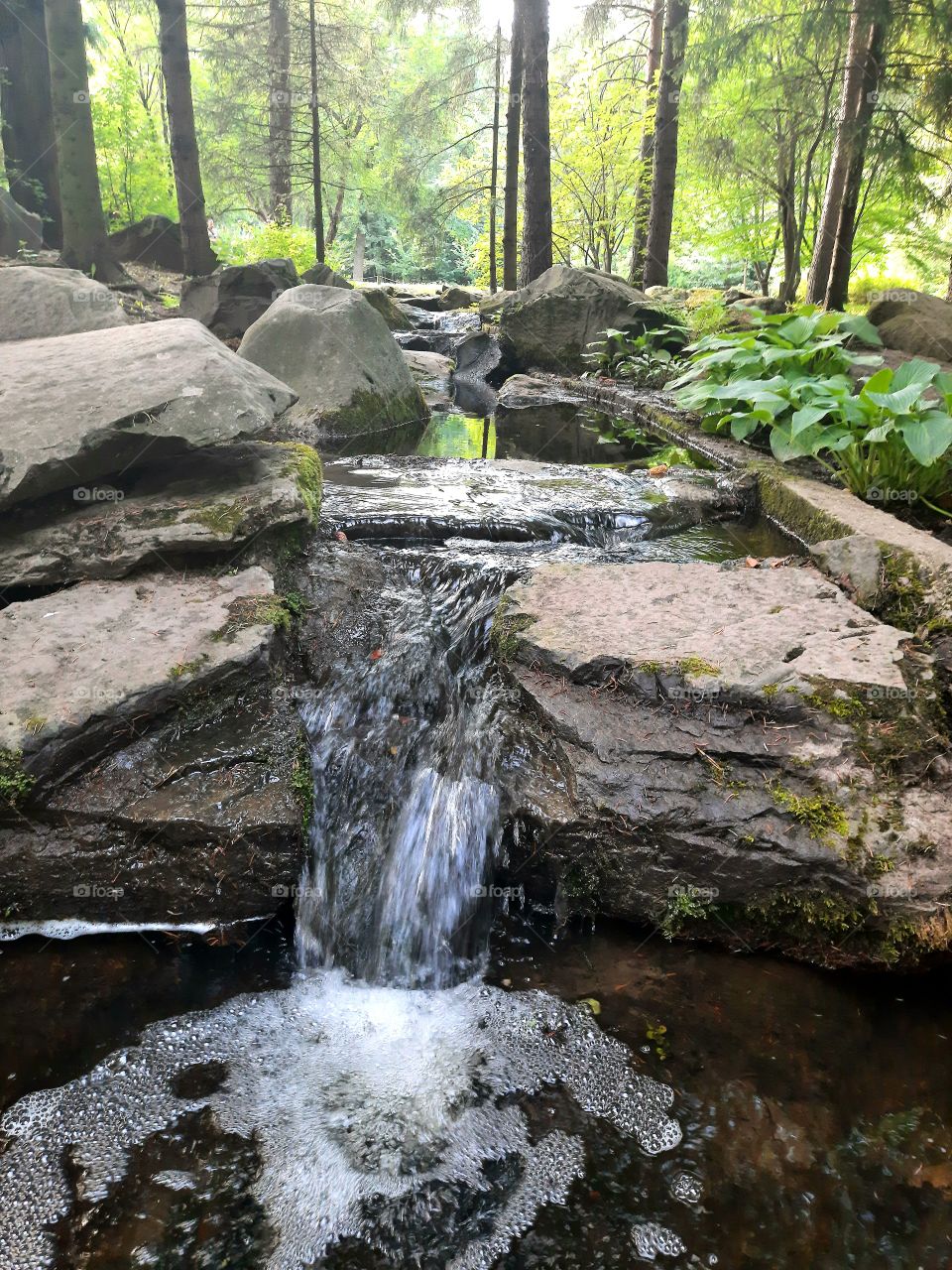 Pond with waterfall