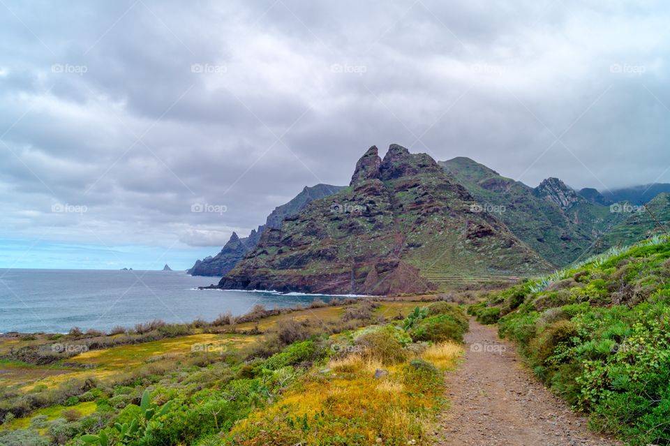 Punta Hidalgo, Tenerife 