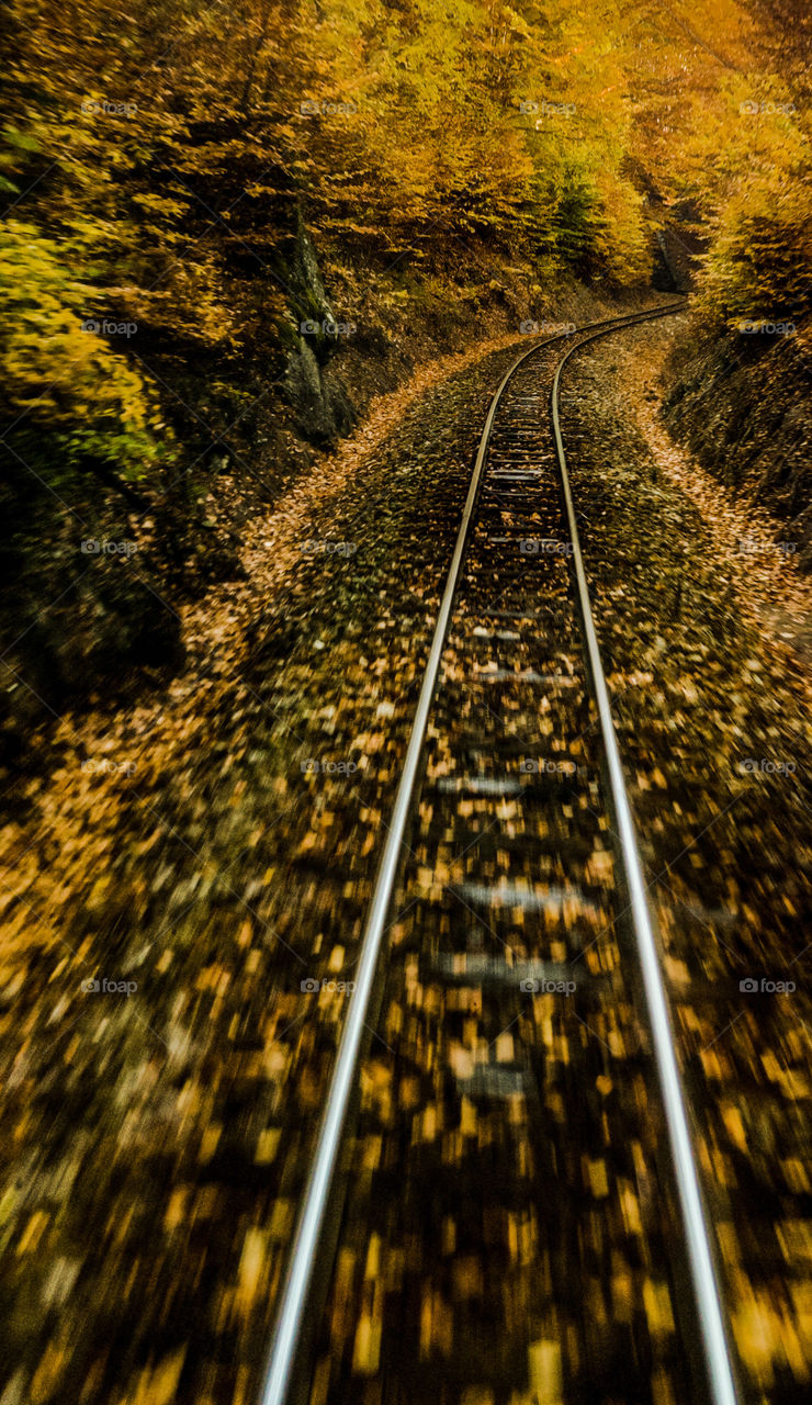 Train tracks in autumn colors