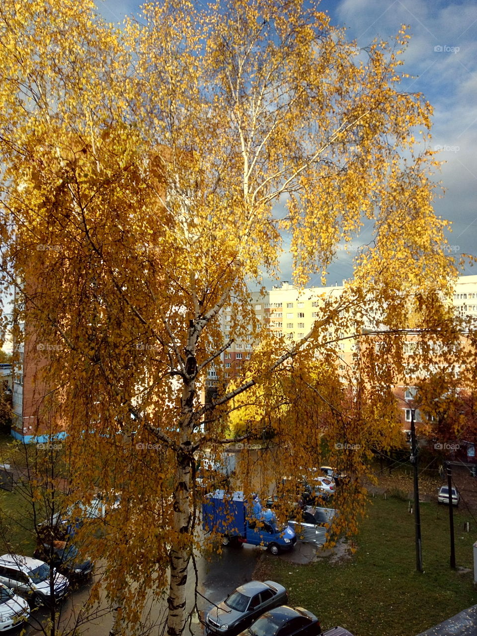 осень в городе