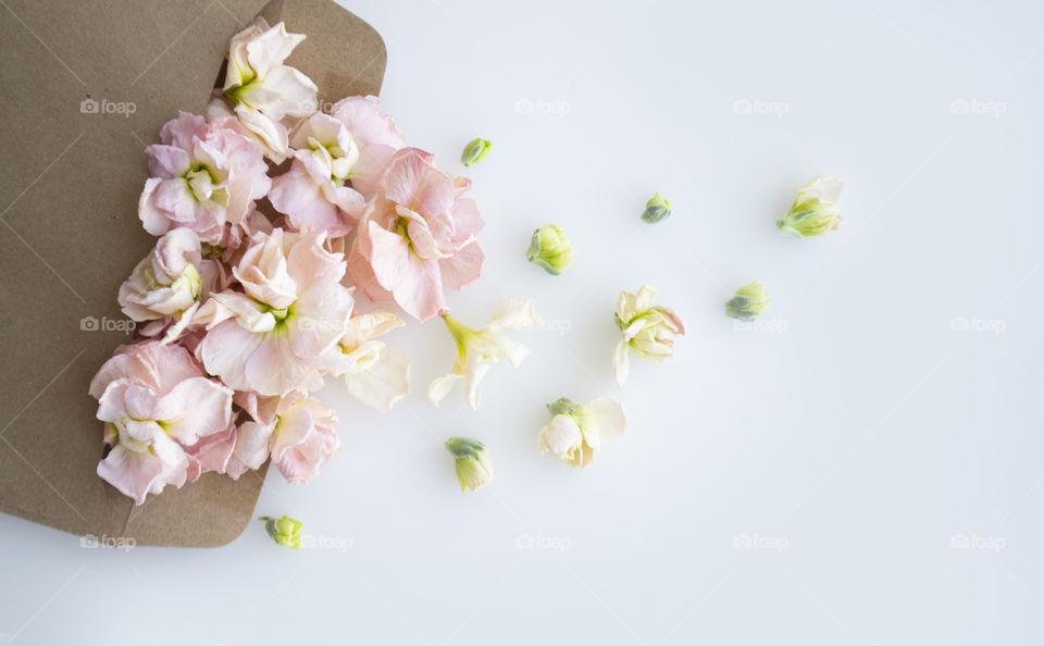 Eco paper envelope with pink flowers in it on a light background 