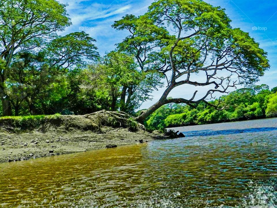 Costa Rican Rivers