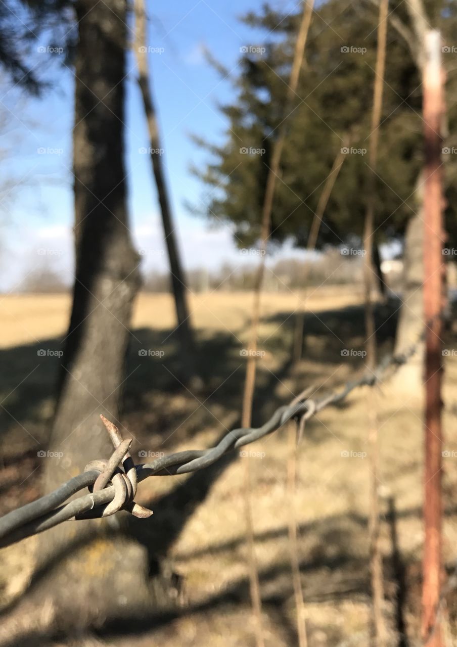 Winter Story, cold, winter, rural, frozen, ice, lake, sky, shore, thin ice, pond, water, melting, trees, tree line, melting, open water, tree, old, lonely, fence, barbed wire, field, hill, grass, brown, rust, red