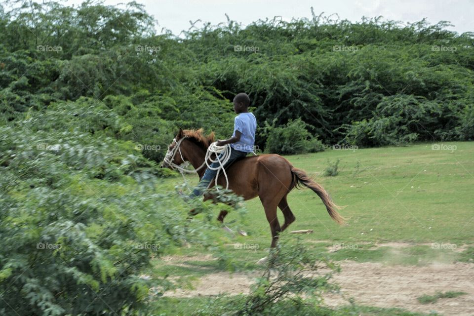 Haitian Boy Horseback Riding