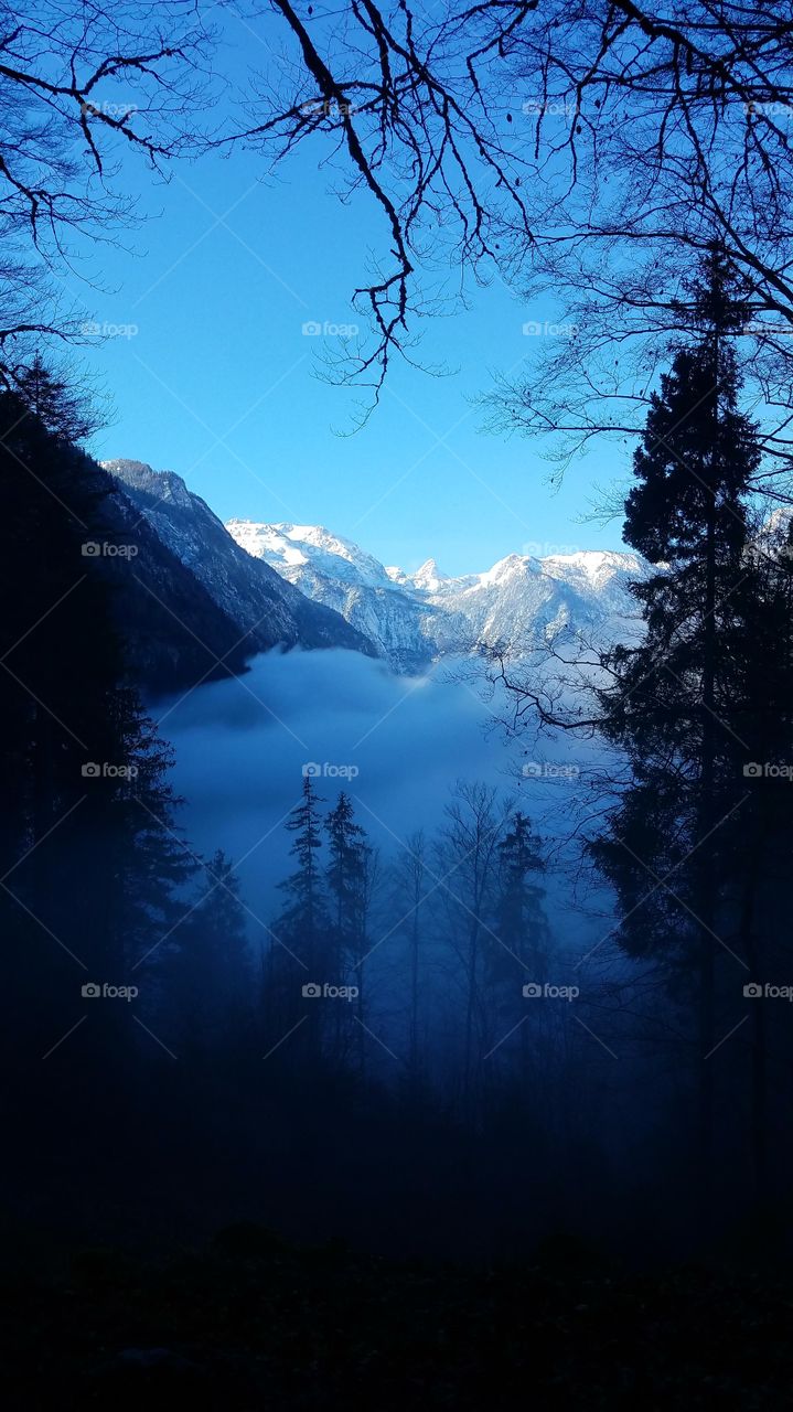 A bank of mist fills the space between tall, snow covered mountain peaks, over a lake in the Alps. 
